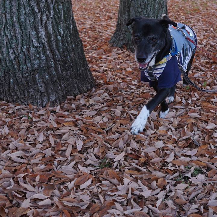 E1098acb 3a83 48f2 86dc de73920a9d51 1764807669859