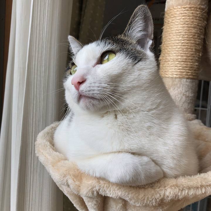 E10a03d7 c9e8 470e 8412 29ac22f5a1d4 1640651350221