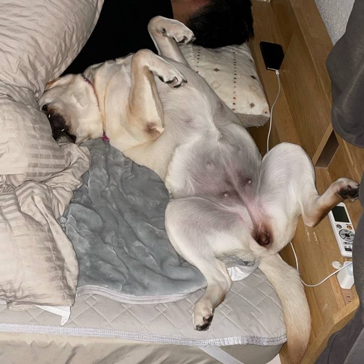 E10a1cc4 6e2e 4a7e a111 afb0a9e2c2d4 1636068586109