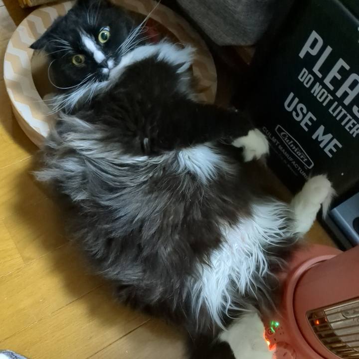 E10a53d4 6e0a 421b 9c7e 6ab7b563f6d6 1682895359191