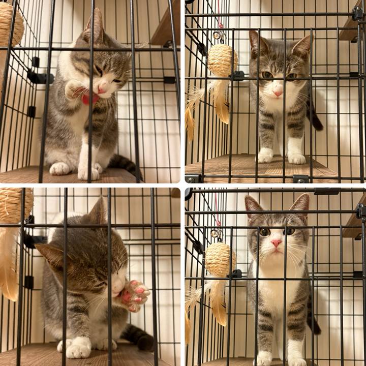 E10a8615 a599 4fd7 a4f1 12ad0723382f 1765229294647