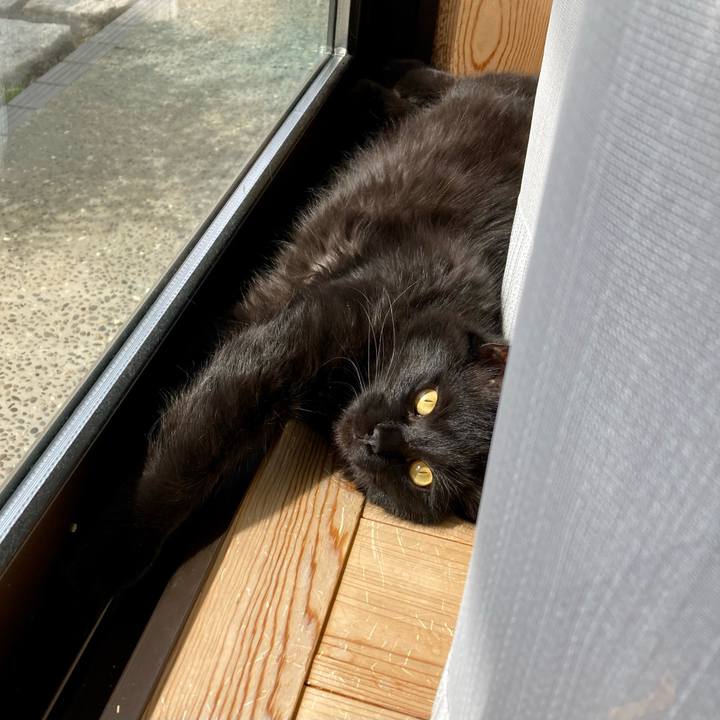 E10aa3b8 e169 4e5c a356 45c8a7c1f255 1710816796064