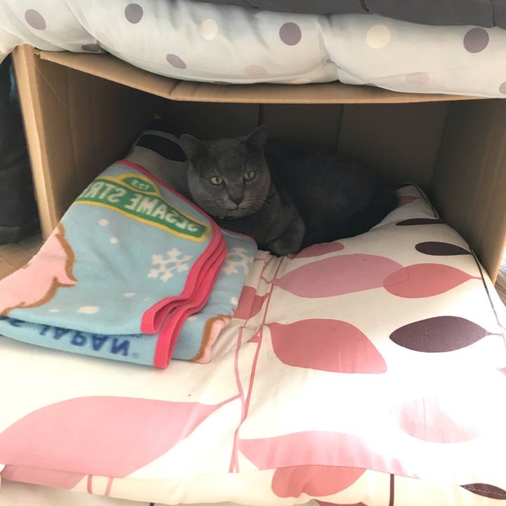 E10ab882 13cf 4d98 a5a9 8dce79f43500 1549335405370