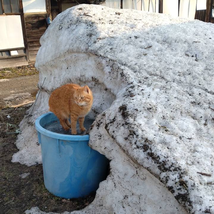 E10acb3e b7db 407c bed6 ee59b9f3efcb 1742510394211