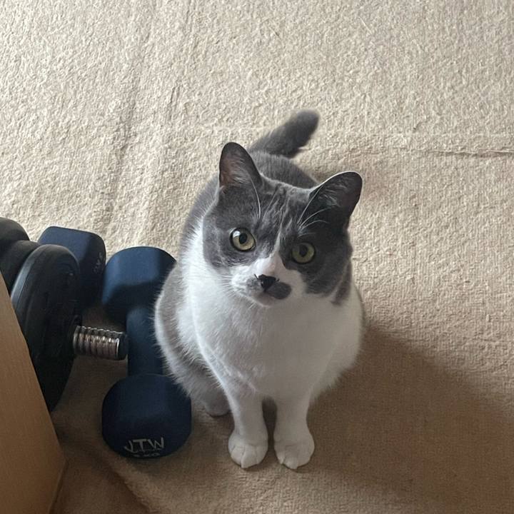 E10ae40c 040d 44e3 8fb5 c4e95335a4e3 1685396052295