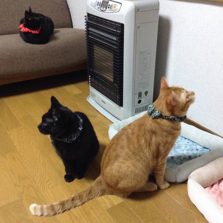 E10b0e03 6044 463f 9ae5 cd8ffe82e17b 1564208765102