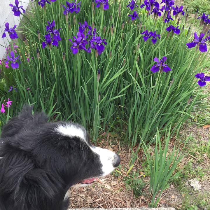 E10b14ea 5629 4f0c bc91 d102dbf481c9 1555980241633