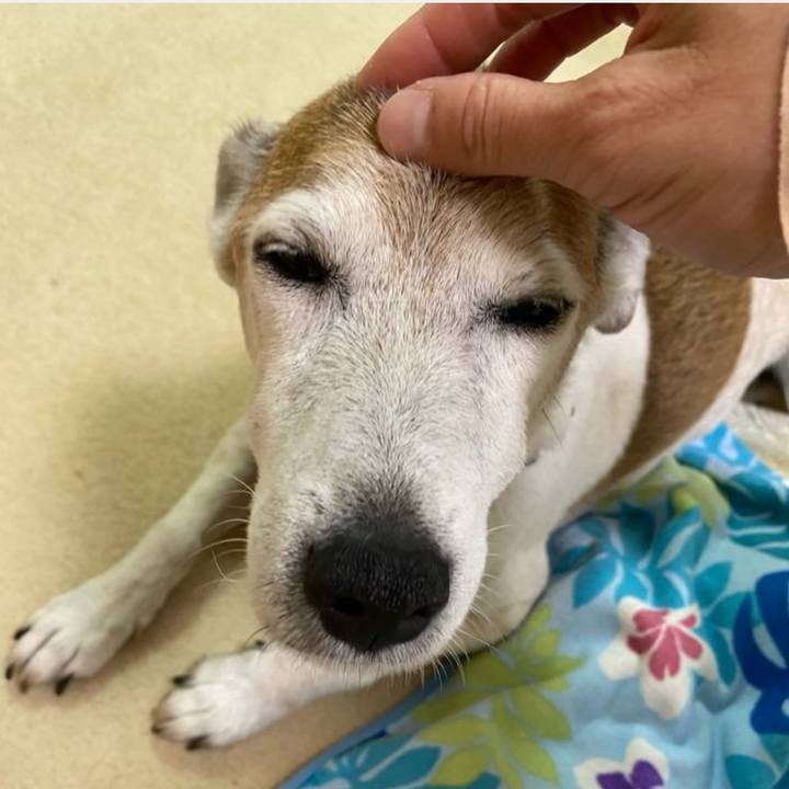 E10b2b74 4e2b 4cdc a19f d9f05a09d577 1749215197055