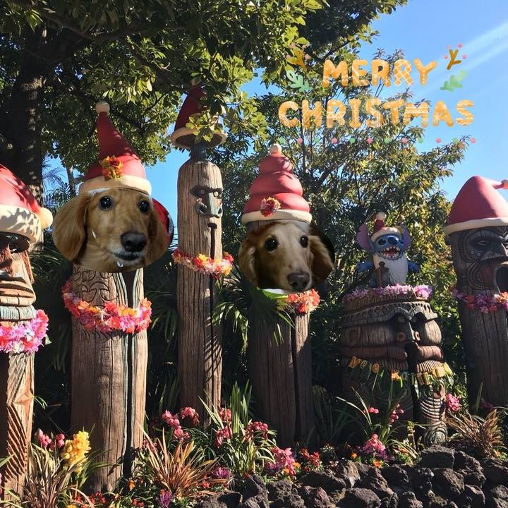 E10b2e6d fefa 41aa a708 9e87b9144f59 1640442818504