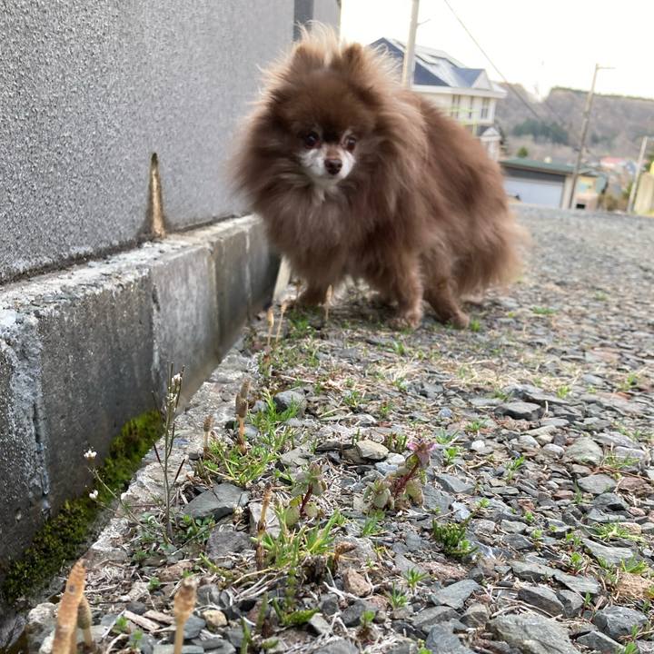 E10b4670 2459 41e8 b47a 3eb2f0df0843 1713300347577