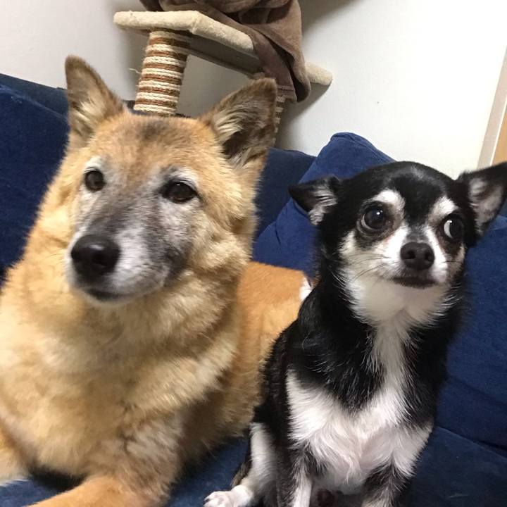 E10b50ec 69e1 46ee b029 51e09b50d395 1569759473714