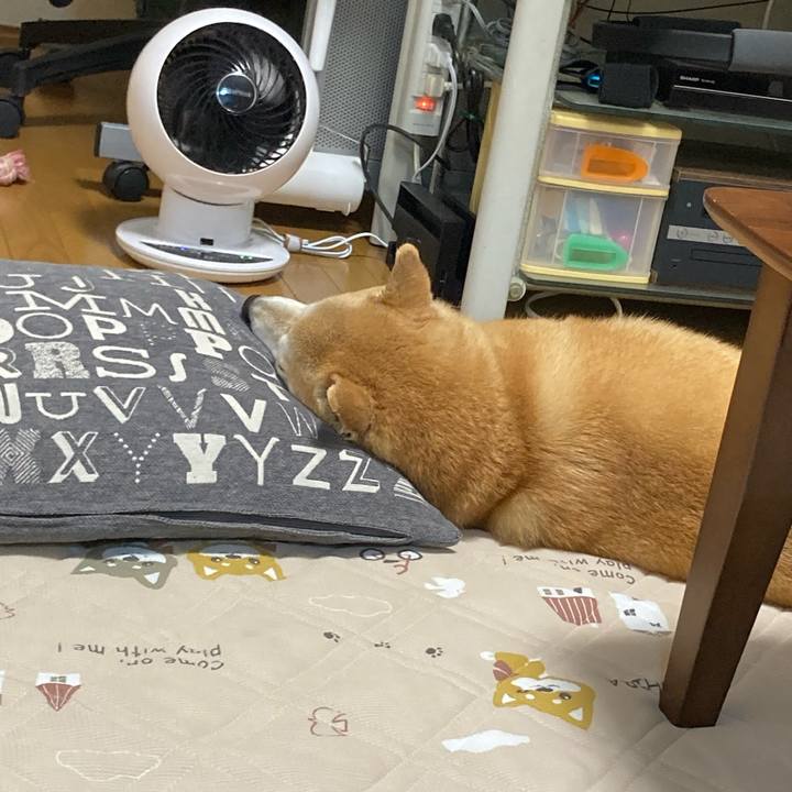 E10b7cfd b045 4c36 8912 22072750aad8 1623734222114