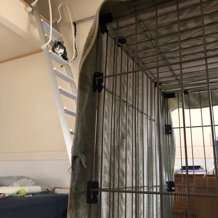 E10bd211 3de5 4c47 a40f addd9c19aa54 1530774485397