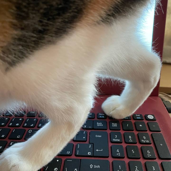 E10be207 7458 4305 9c09 e01134f200b0 1624055832738