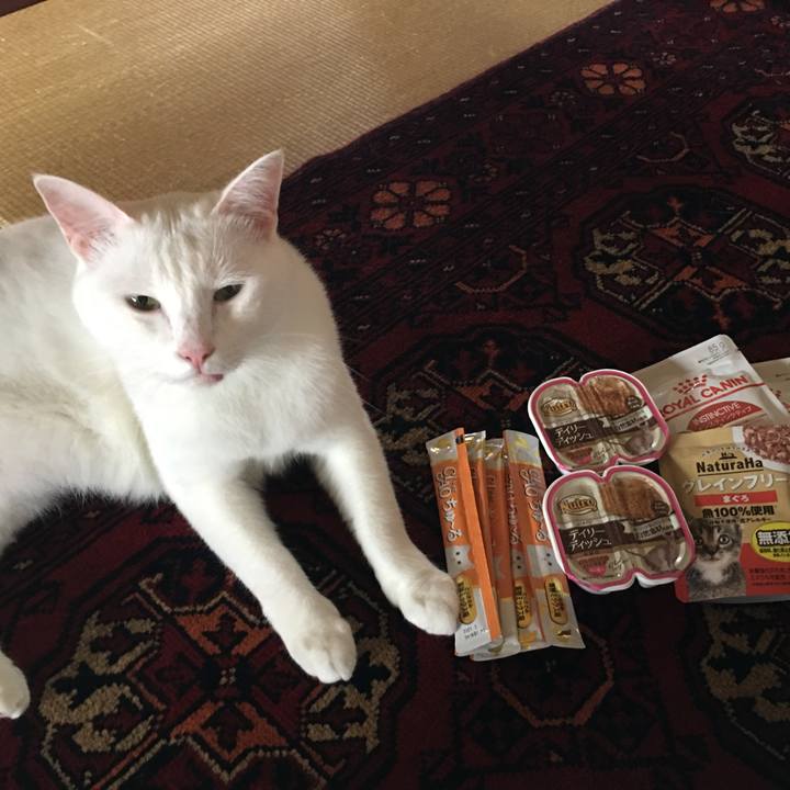 E10c2e15 f797 4ebb b42c d36a13b2f26f 1561789477319