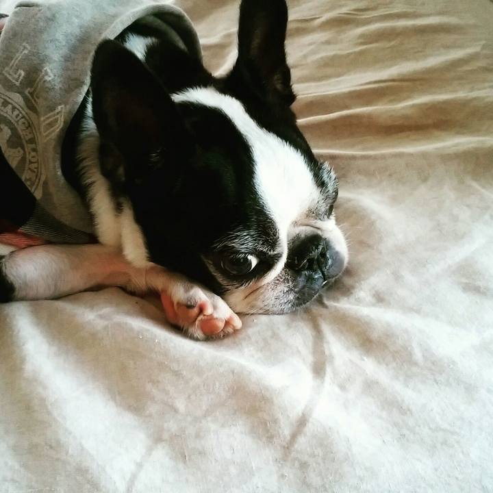 E10c4734 0e23 496b 8006 c80b6fd1f9bb 1541393875793