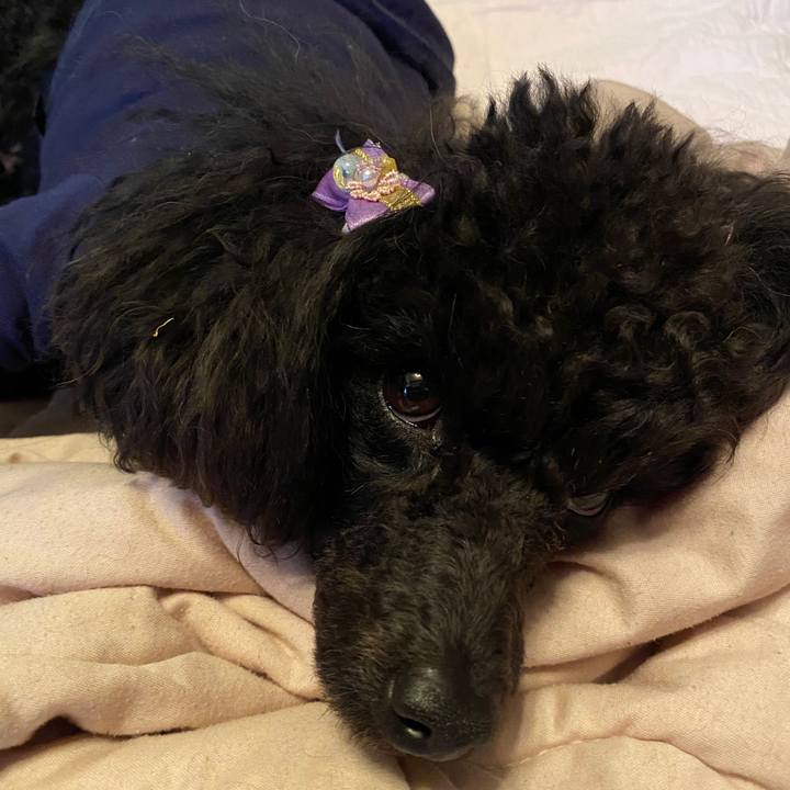 E10c622a 23cf 4e53 9dde a86dd98e8598 1585609429286