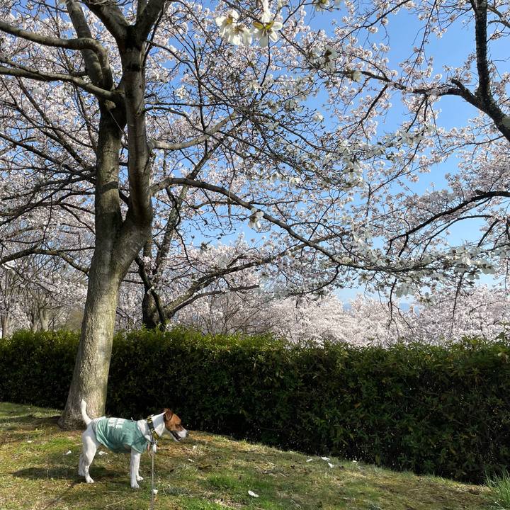 E10c7ca7 6fdc 44b3 b685 4e45bb7e7239 1649760480507