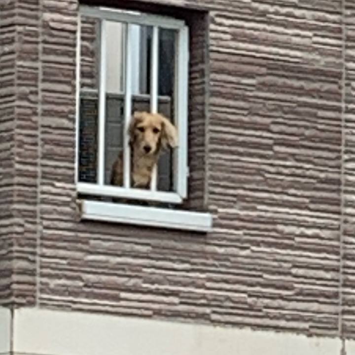 E10c8d06 c0ef 493e b9b1 68e38f47fa2d 1563604056110