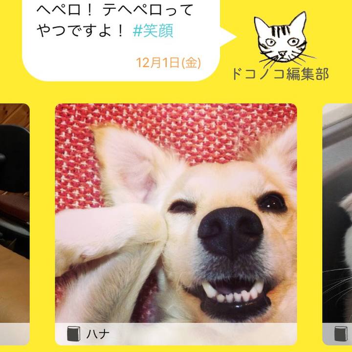 E10ca837 e629 42cf a31b e14252993ff3 1512120081785