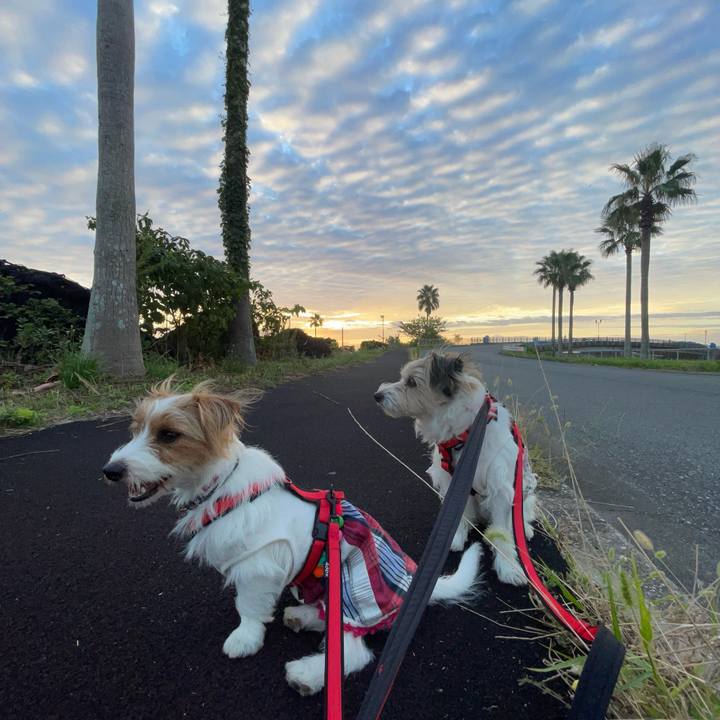 E10cf308 b07e 4155 91cd 925c252fe0aa 1758586908248