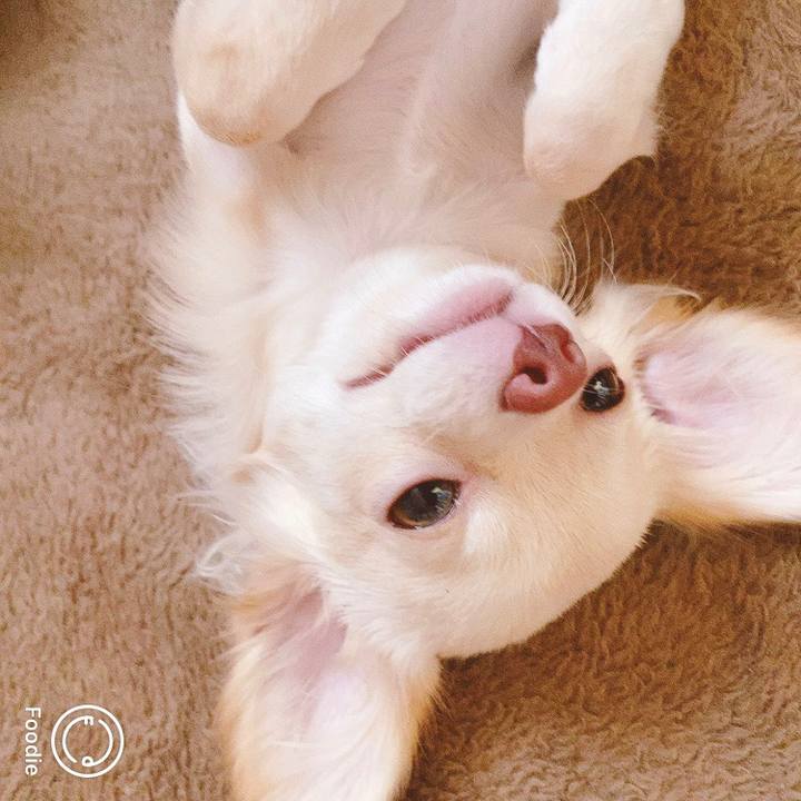 E10cf33d 74e5 4163 bd7f 72e46feac433 1597784870298