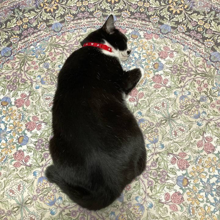 E10d326a 9e8a 4bd8 a64a 4ad2fb42eb5e 1751373979644