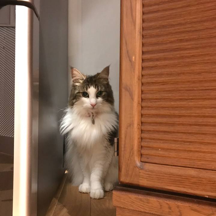 E10d4d86 d7ea 4cbd 8028 b32db321dcc8 1532436873604