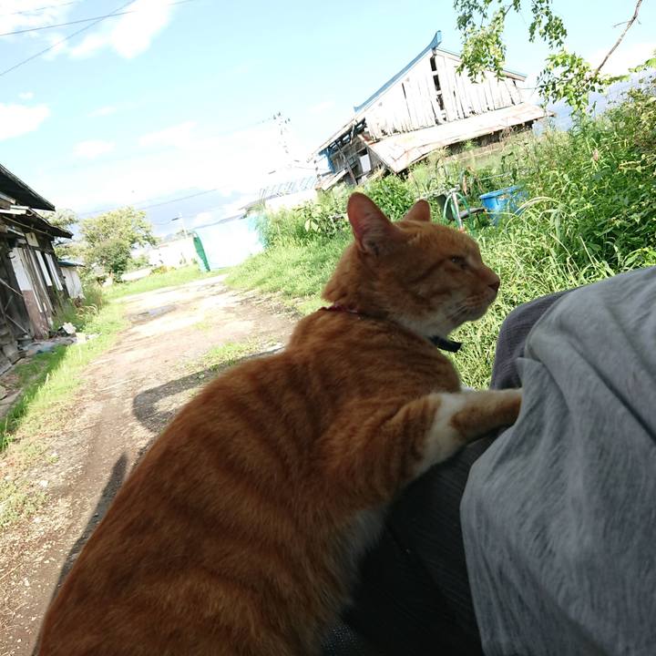 E10d58ae 7990 47ff 8b5a ec87ac74542a 1597561892618