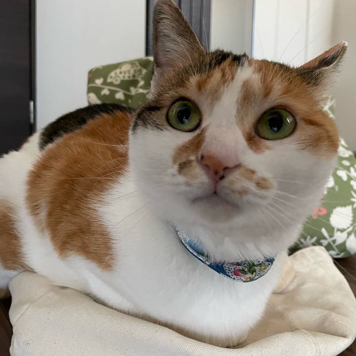 E10d6910 3541 46c6 8666 b544acf95217 1713324638448