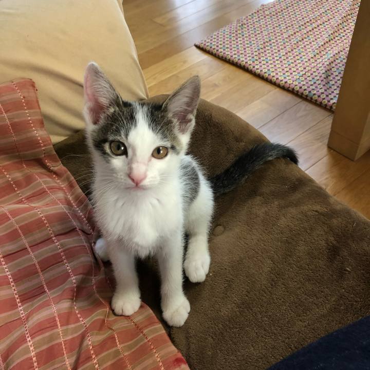 E10d7639 019a 42e5 9ef5 7f7c604b73f0 1562457585181