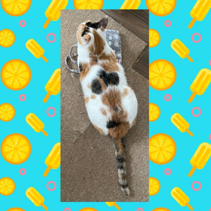 E10d8584 b2c3 4034 9f9d 6dbe5e16f58f 1660651528378