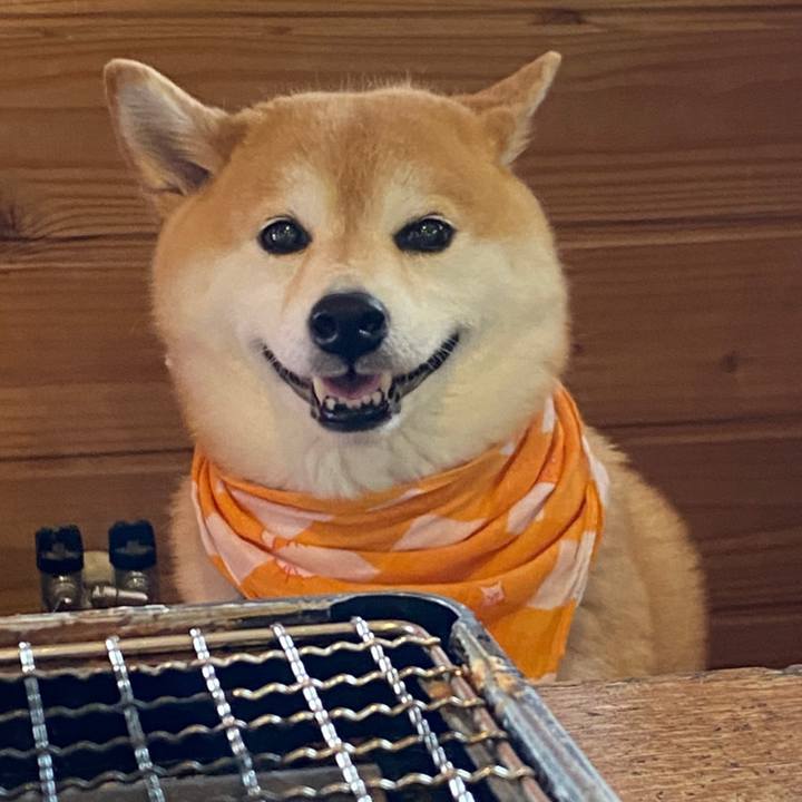 E10da549 fed3 49bf b136 8313e7783d07 1620120171299