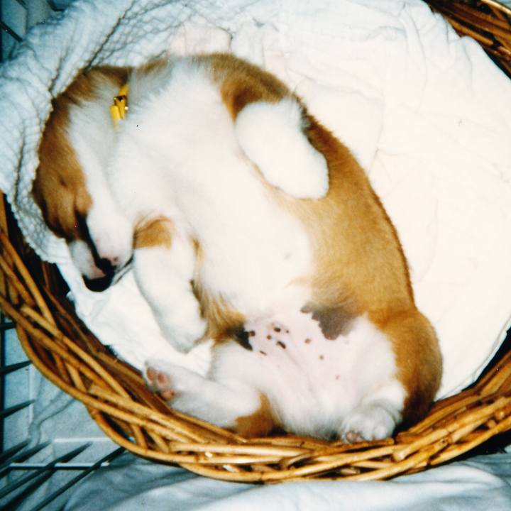 E10db0f4 1c25 43b2 864a cd0e0cead047 1610550179183