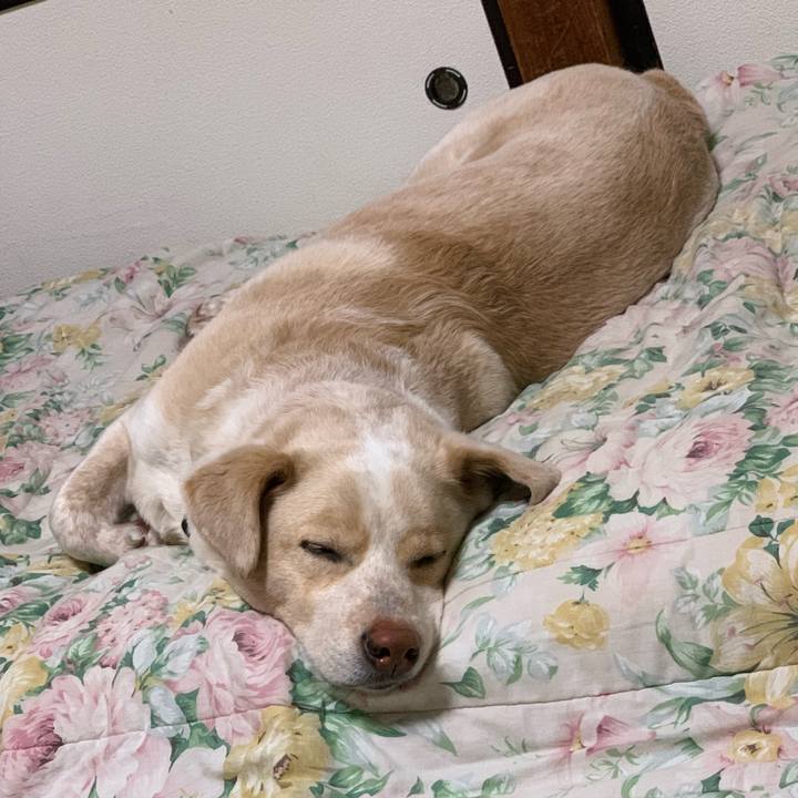 E10e056f c5f9 4e32 a470 6b7c2a3bc5d8 1556633507917