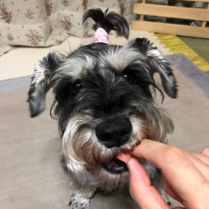 E10e2378 a5e9 4f2e ad7d 334a35313bdb 1626186614240