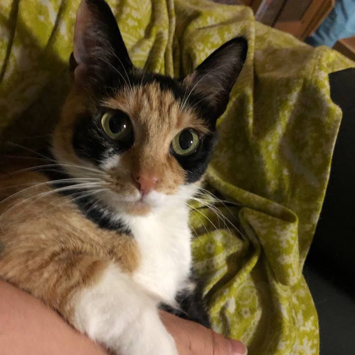 E10e24b8 5657 4a8f 9903 034737acf210 1524486319712