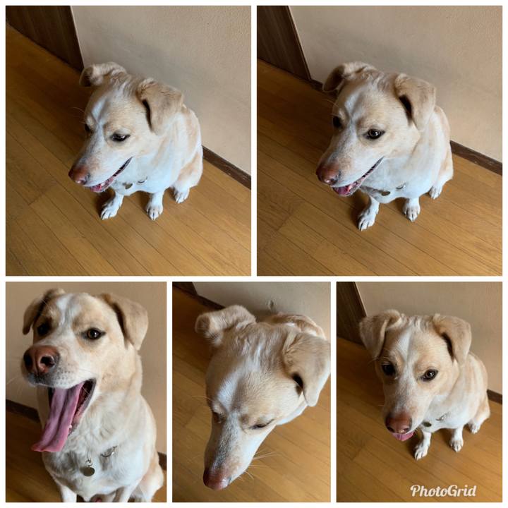 E10e39ea 7382 4fac bffb 649f61d3c3ae 1551009463585