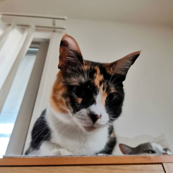 E10e4182 9efc 4fdd 866c f5431d440e63 1626429624907