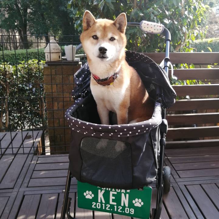 E10e705c 0182 4c06 a23a 8aa08e8a88d7 1676879200586