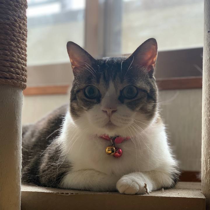 E10e768f d6de 47b6 ac21 c8cee6bc90af 1663850015928