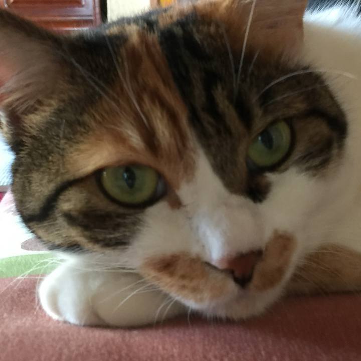 E10e895e cb0c 4ae7 a3f4 a41421de4024 1709319175837