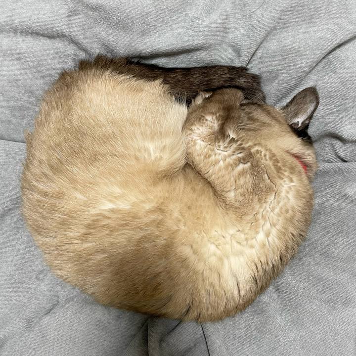 E10ebc03 5246 4945 b598 41a453d193e9 1771591910432