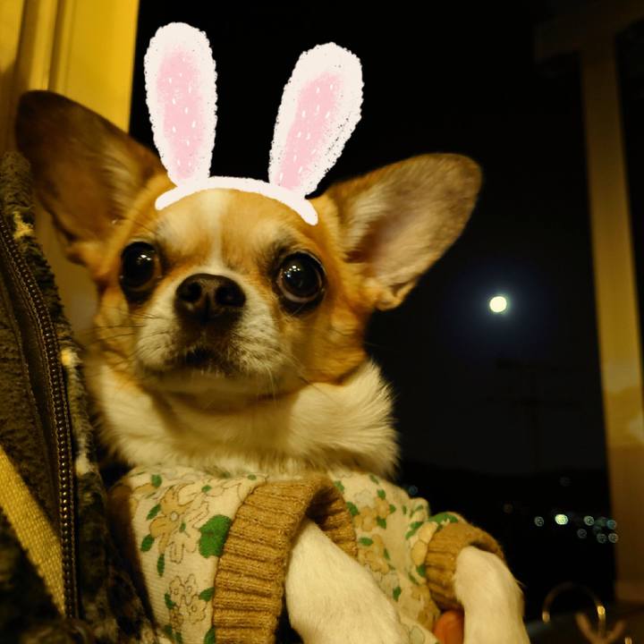 E10ecb0d d1d6 4af0 96ab 2f5b51e5258f 1703674575385