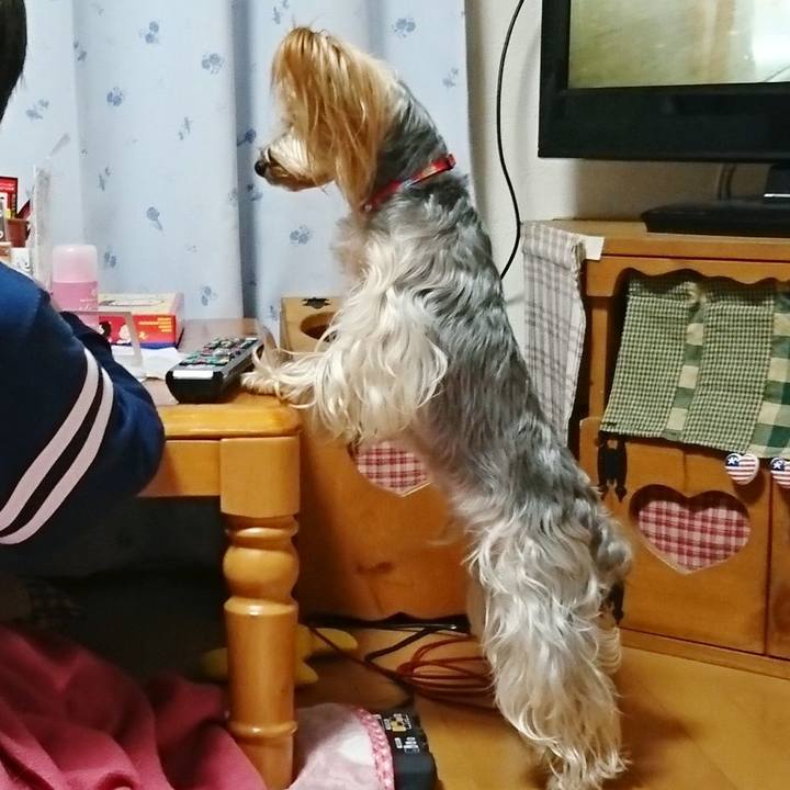 E10eda56 8e09 44e6 9671 f67c5c1b8ec3 1552129684304