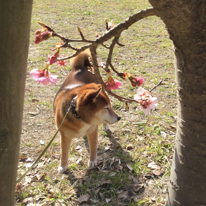 E10ee607 6b1b 49cf 8f1c f2fa017cc93e 1581484372097