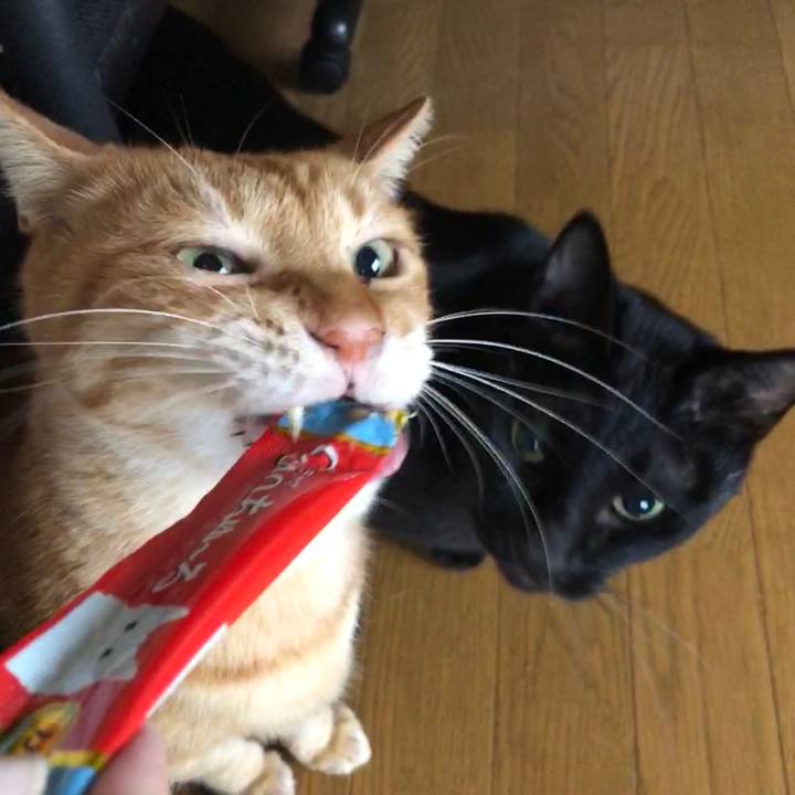 E10f0106 8070 4ff1 98a9 db9116e7be7b 1696632306809