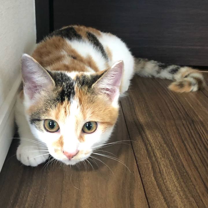 E10f12ff 603a 4183 a4e1 ae49de48b18a 1568244553489