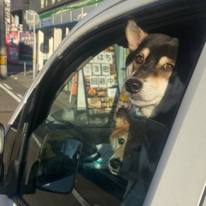 E10f1b53 7408 4968 bfc6 6003a04ef492 1602977158786