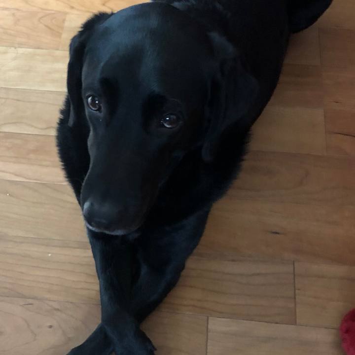 E10f1d24 fcca 4b21 b8dd 8769d71208bc 1612257267839